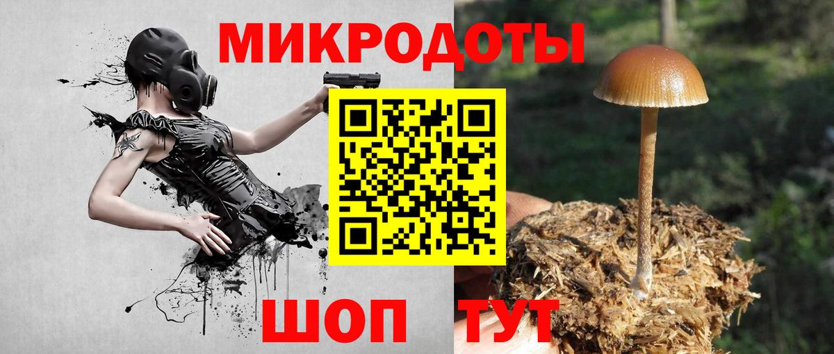 Галлюциногенные грибы ЛСД  Псилоцибиновые грибы мицелий  Вход с VPN  Клинцы 